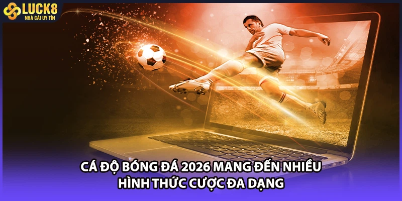 Cá độ bóng đá 2026 mang đến nhiều hình thức cược đa dạng