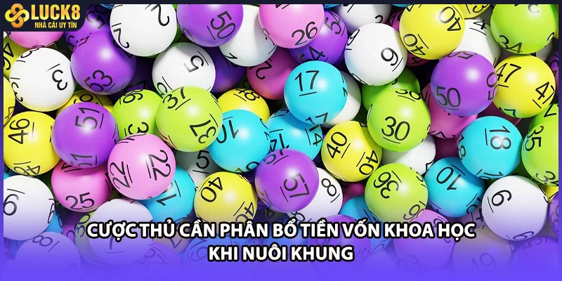 Cược thủ cần phân bổ tiền vốn khoa học khi nuôi khung